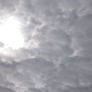 Meet your Posher, Richard